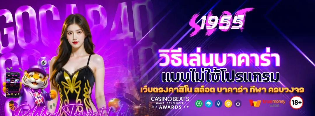 วิธีเล่นบาคาร่าแบบไม่ใช้โปรแกรม